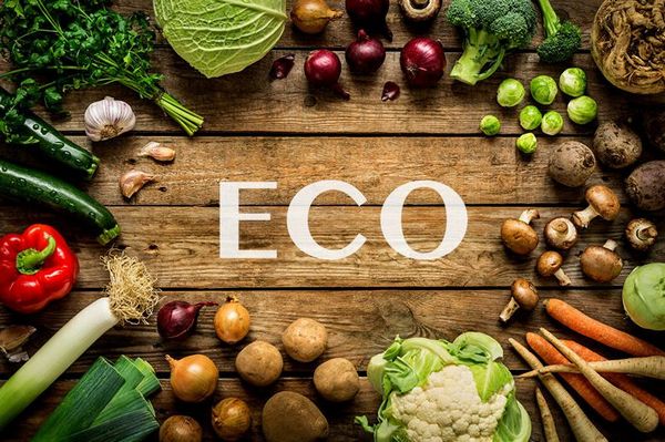 Екологічно чисті продукти: Види, характеристики та їхнє значення