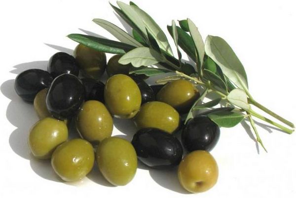 Рослинні оливки холодного віджиму